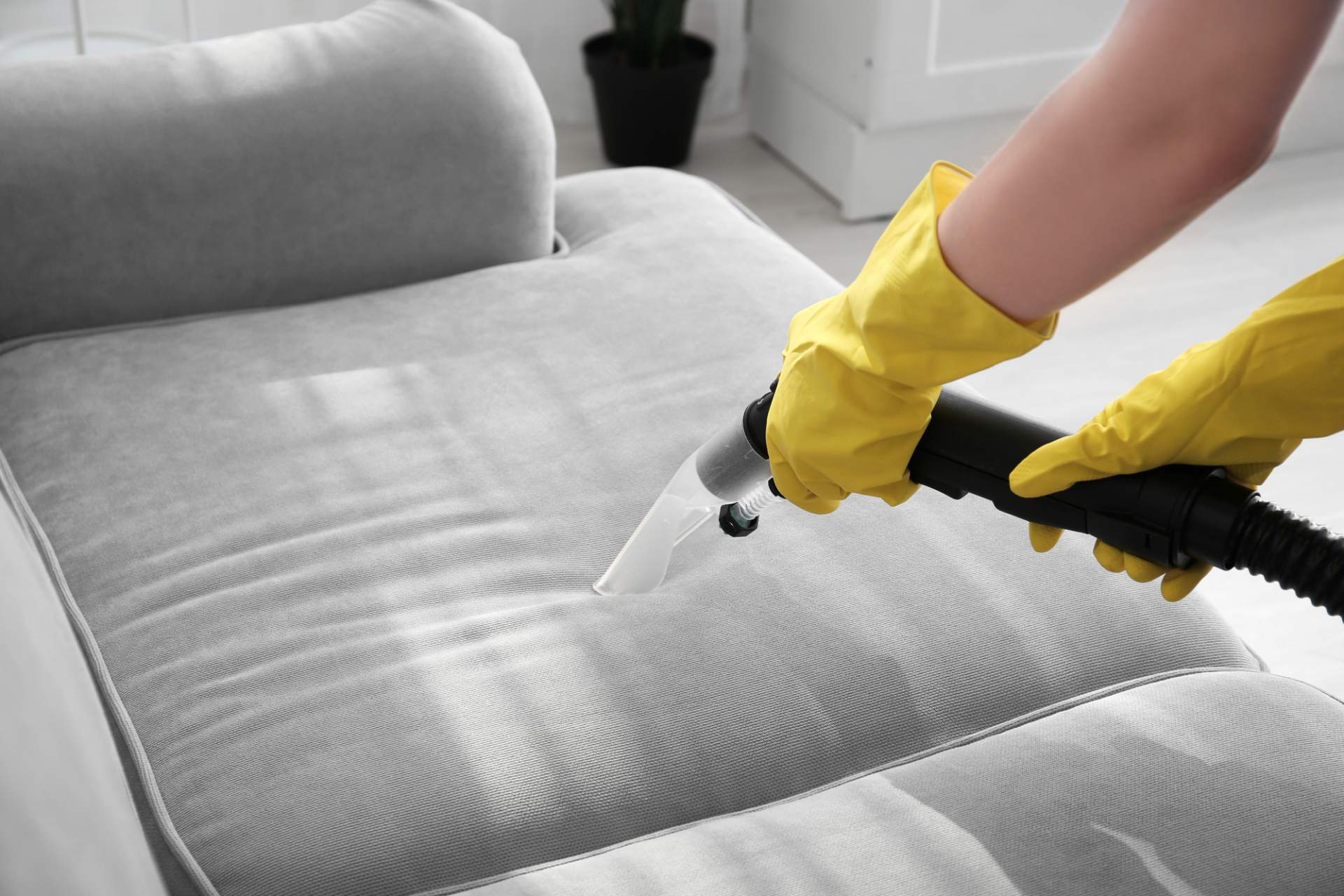 Twin Cities Furniture Cleaning